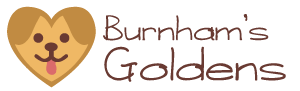 Burnham's Golden's